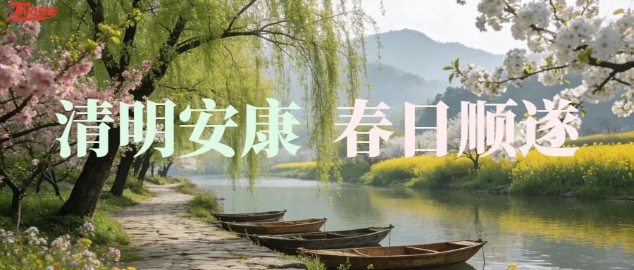 ��ҳ-�������ǲ��ֻ���